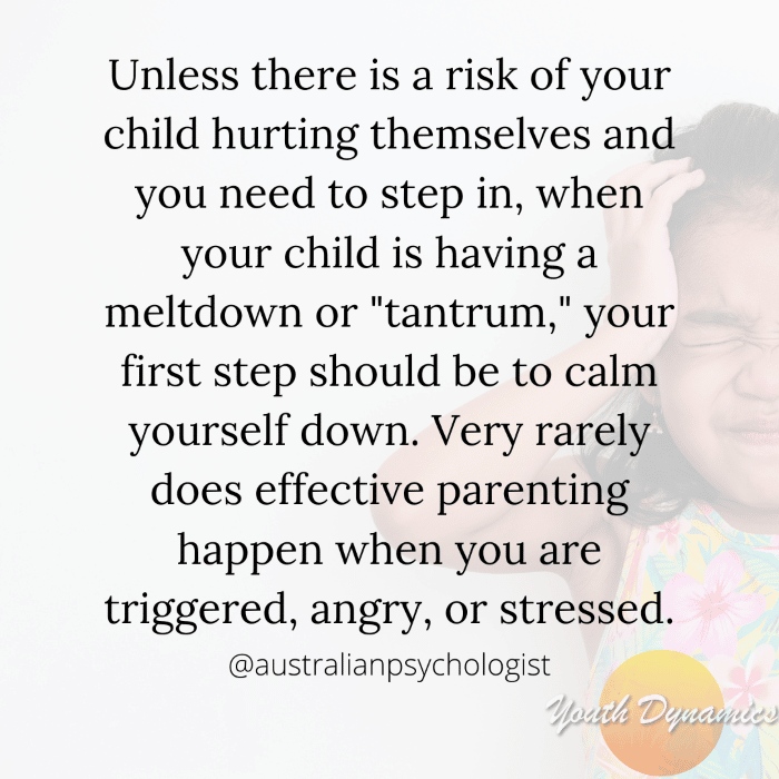 14 Quotes On Parenting When Triggered Youth Dynamics Mental Health 