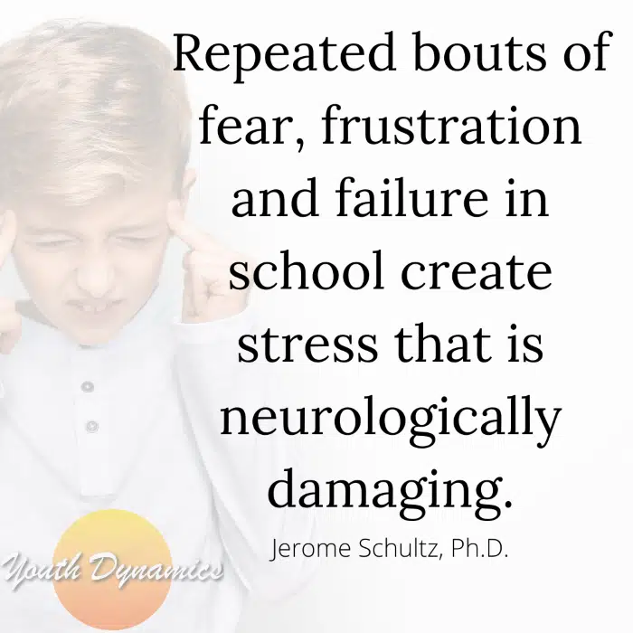 Quote 5- Repeated bouts of fear, frustration, and failure